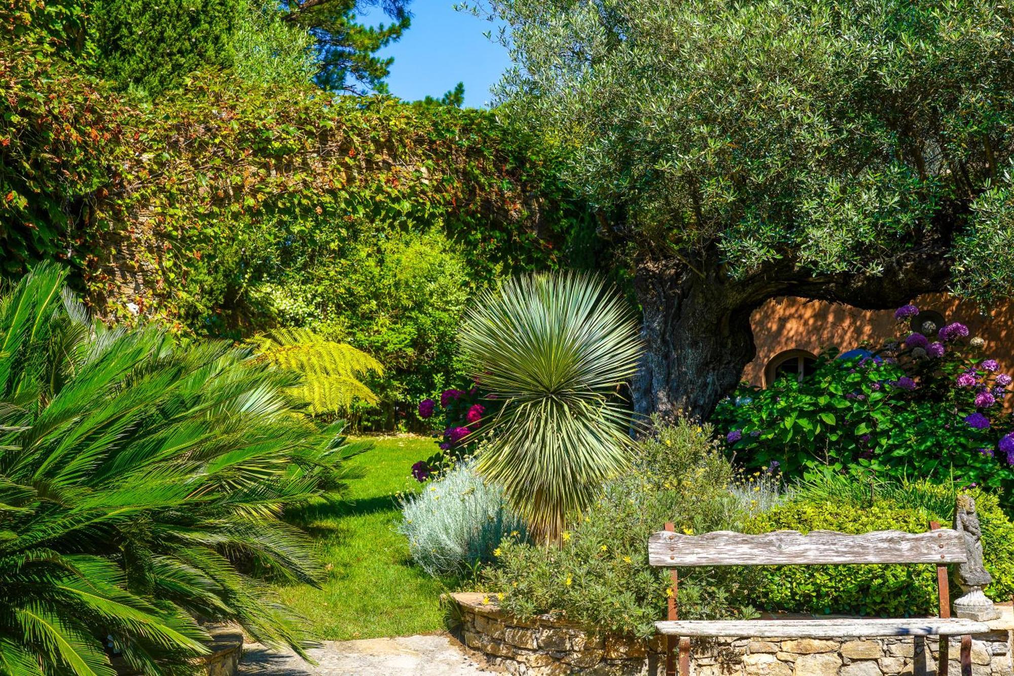 Domaine Les Mesanges Hotel Gassin Buitenkant foto