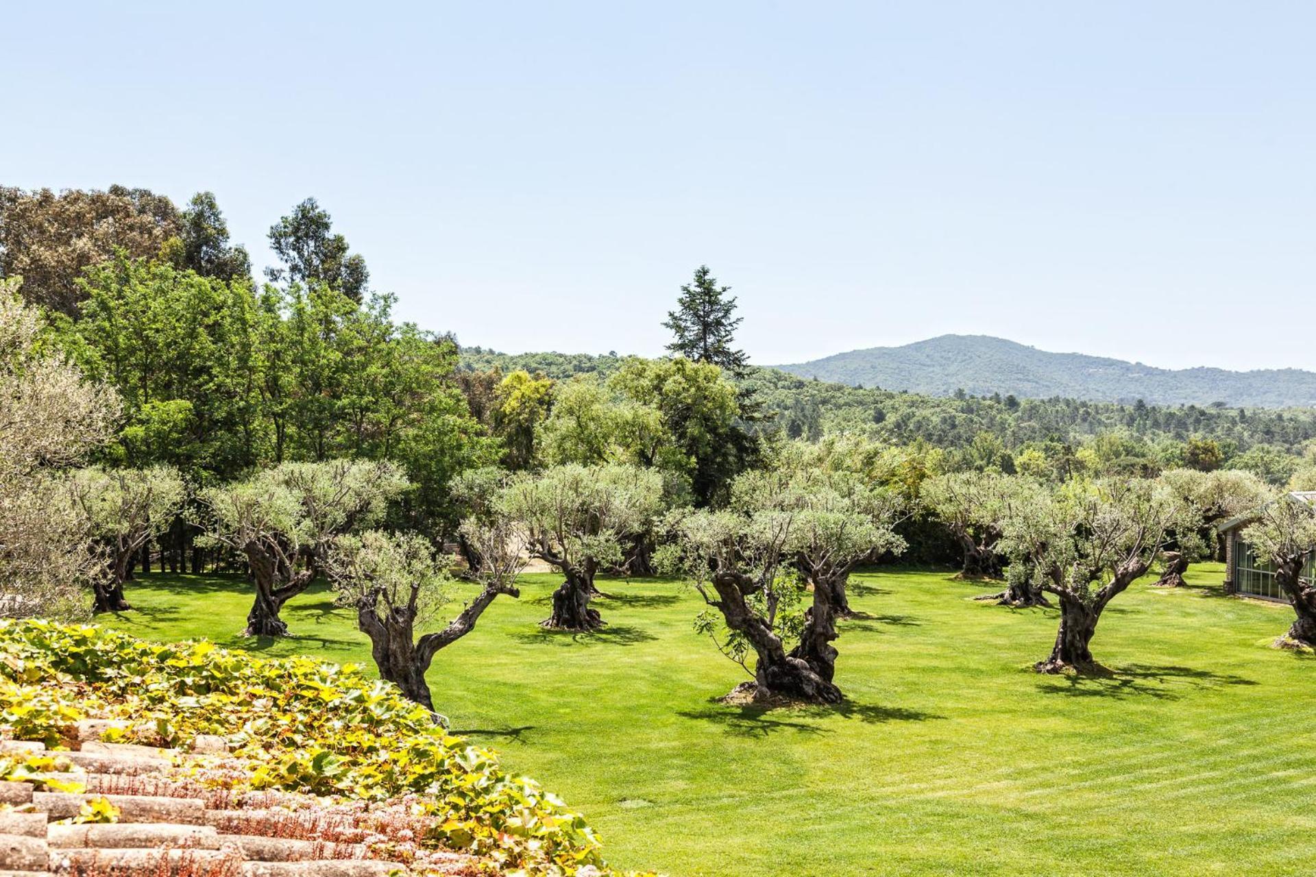 Domaine Les Mesanges Hotel Gassin Buitenkant foto
