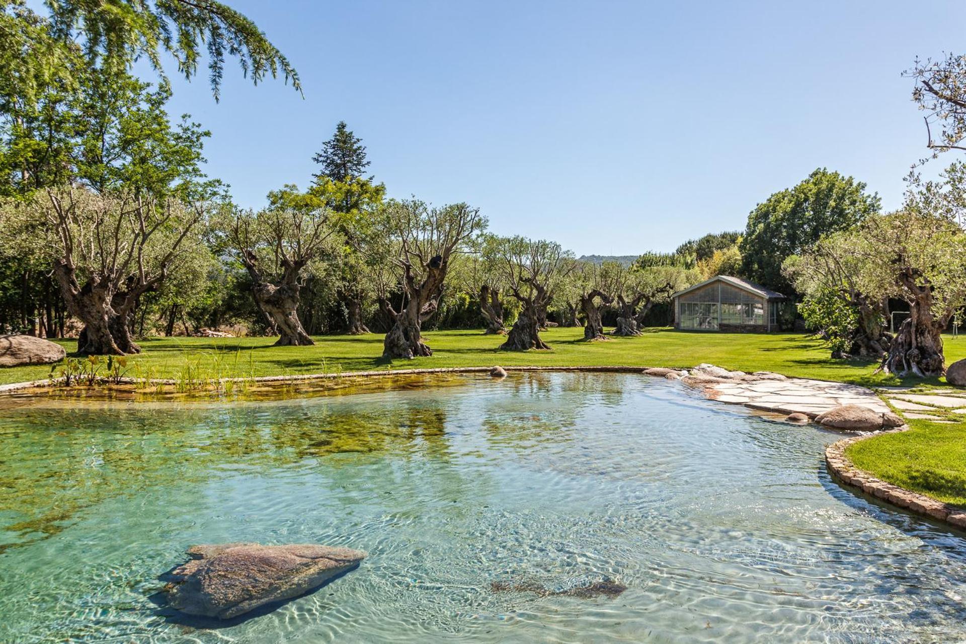 Domaine Les Mesanges Hotel Gassin Buitenkant foto