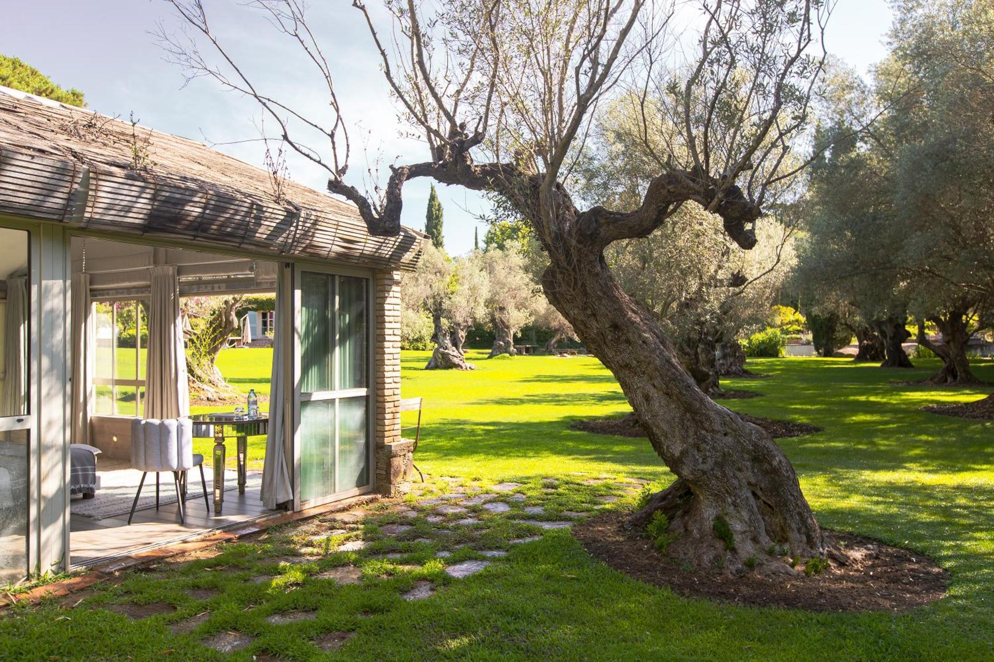 Domaine Les Mesanges Hotel Gassin Buitenkant foto