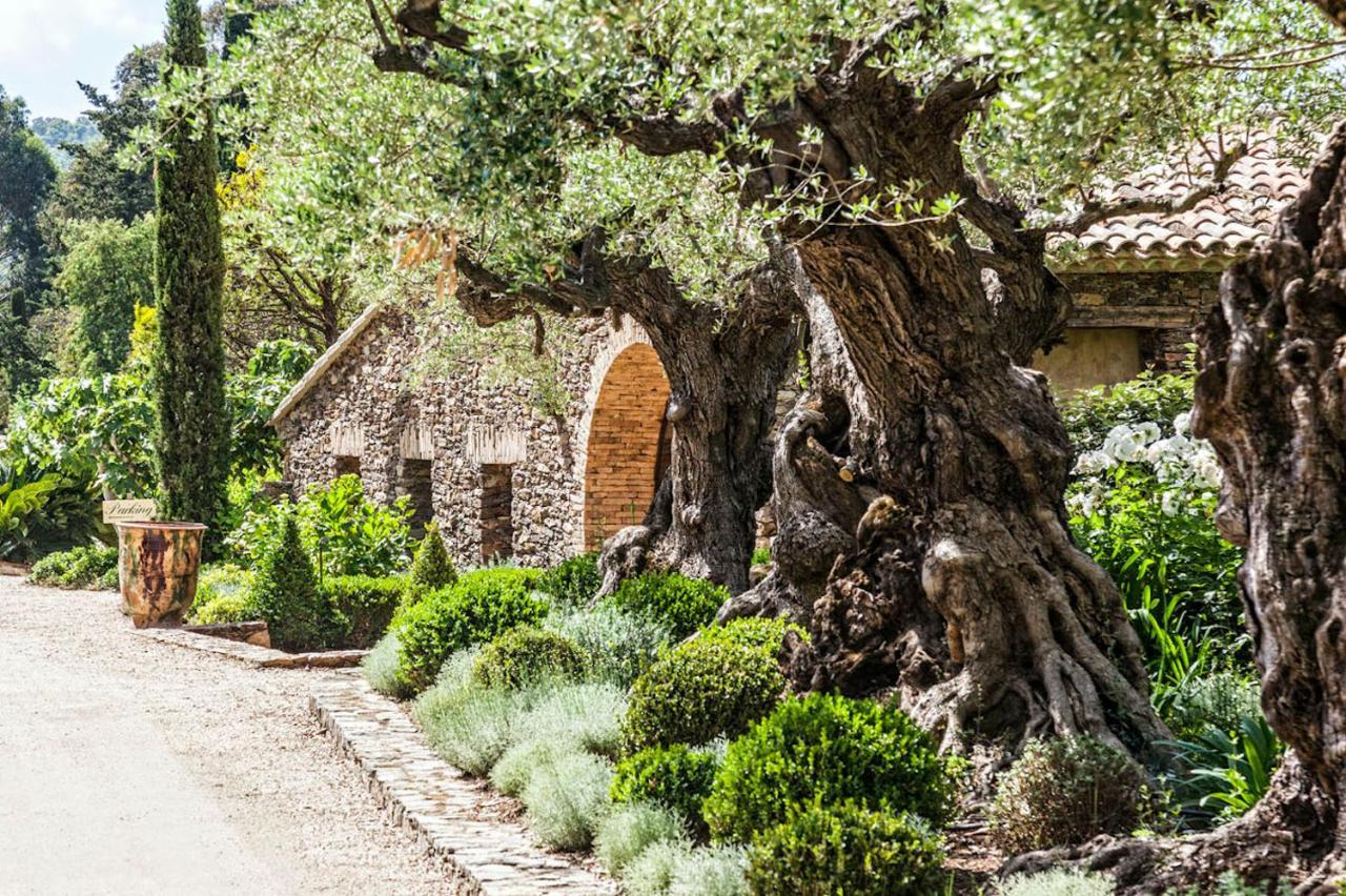 Domaine Les Mesanges Hotel Gassin Buitenkant foto